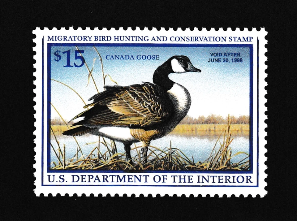 RW64 Canadian Goose Duck Stamp MNH OG Cv27.50 - Image 1 of 1