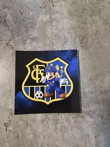 1. Fc Saarbrücken Sticker 10er Pack - Bild 1 von 1