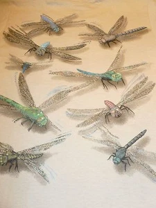 Dragonfly T-shirt Youth Wrap-Around NEW GLITTER in Sun Nature Bugs Bug S M L - Picture 1 of 3