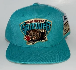 Parche Mitchell & Ness Hardwood Classics 1995-01 sombrero de los Vancouver Grizzlies Snapback - Imagen 1 de 8