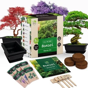 Bonsai Starter Kit, Japanese Bonsai Tree Kit with Bonsai Tools, 7 Seeds Set Pots - Picture 1 of 6