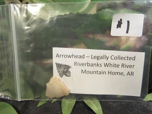 Arrowheadfrom White River Banks, Mountain Home, Arkansas - Picture 1 of 6