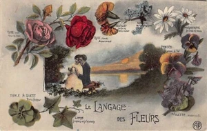 Cartolina: La lingua dei fiori, abbraccio di coppia, Francia, anni 1910 - Foto 1 di 2