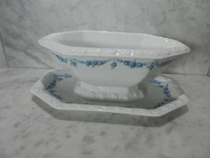 Rosenthal Sauciere Maria weiß blaue Ranke / classic rose - Bild 1 von 3