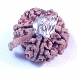 Certified Rare Ganesh Mukhi Nepali Rudraksha With Silver Capping Prayer Bead s90 - Picture 1 of 4