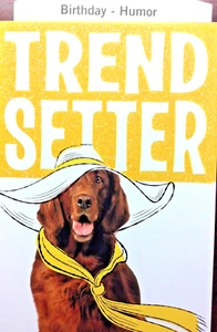 Divertida Tarjeta de Humor de Cumpleaños para AMIGO con Divertido Mensaje SETTER DE TENDENCIAS Sello S15 - Imagen 1 de 2