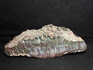 ~RW~ POLISHED "PLUME AGATE" SPECIMEN ~~ OREGON - Picture 1 of 3