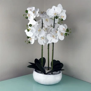 Elegant 60cm Orchid in Luxe White Marble Effect Ceramic Planter - Picture 1 of 7