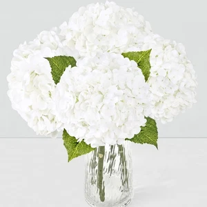 4 Piezas 21" Flores Artificiales Hortensia Blanca Tacto Real, Látex Realista Imitación... - Imagen 1 de 9
