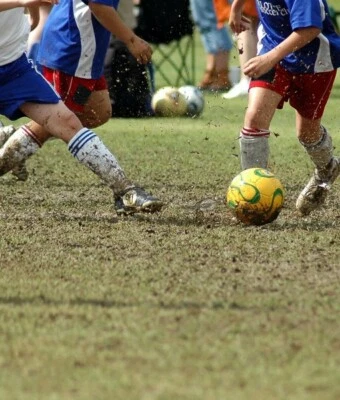 20 Kg Grass Seed For Football Pitch Repair. Amenity Ryegrass For Over Seeding