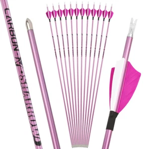 31" SP400-1000 Archery ID4.2mm Pure Carbon Arrows 2" Turkey Feathers Bow Hunting - Picture 1 of 14