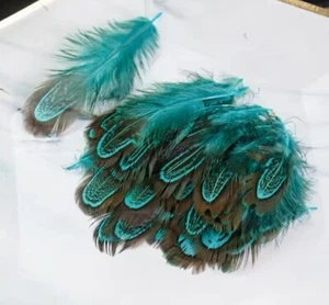 25pcs Natural Almond Aqua Blue Pheasant Feathers DIY Craft Millinery Jewellery - Picture 1 of 1