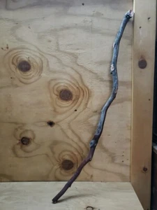 33" Red/grey Manzanita branch #26 - Picture 1 of 6