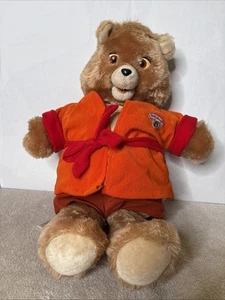 Teddy Ruxpin, His Pal Grubby With Connector Coord And Cassette - Works - Picture 1 of 15