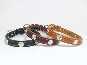 3/4" Wide - Top Quality Leather Dog Collar with Western Conchos   Made in USA - Picture 1 of 19