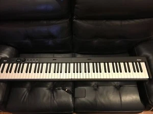 Eastar EP-10 Portable Foldable Digital, 88 Key, Full Size Keyboard With Pedal - Picture 1 of 14