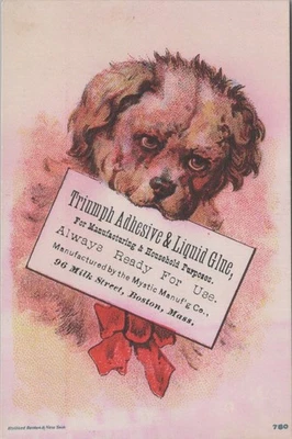 Pegamento líquido adhesivo Triumph boca para tarjeta de sujeción de perro Mystic Boston MA MQV1 Foto 1 de 2
