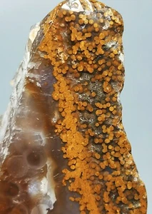 Natural Round Eye 8th Vein Ocean Jasper Agate Quartz Reiki Stone Healing - Picture 1 of 12