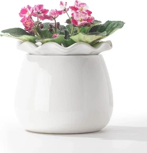 Self Watering Plant Pot, 6 Inch African Violet Pots Maintenance, White  - Picture 1 of 7