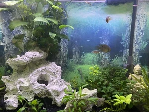 aquarium komplett mit unterschrank gebraucht - Aquatlantis 280l - Bild 1 von 6