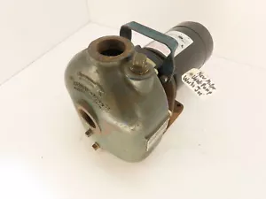 GORMAN RUPP 81 1/2D3-E 3P Self Priming Centrifugal Pump 1/2HP 1PH 120V 2613-A - Picture 1 of 7