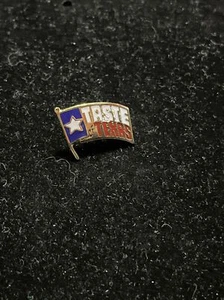 Taste of Texas Hut Revers Tac Pin Staatsflagge guter Ton 24-15 - Bild 1 von 3