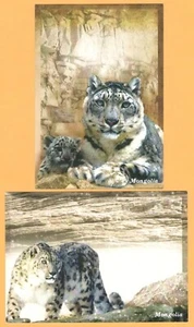 Mongolei 2015 Snow Leopard (Ununa Ununa) Postkarte - Bild 1 von 2