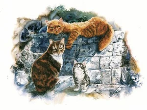 Hanging Out with the Guys 8x10 CAT print by Artist Sherry Shipley - Picture 1 of 1