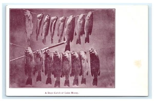Cartolina A Days Catch Fishing Lake Morey VT Vermont UDB E3 - Foto 1 di 2
