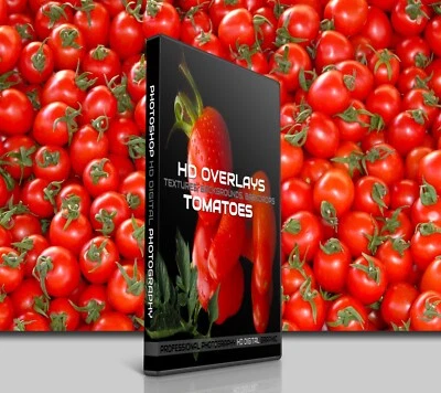 200 TOMATOES FOOD DIGITAL PHOTOSHOP OVERLAYS BACKDROPS BACKGROUNDS PHOTOGRAPHY - Image 1 of 4