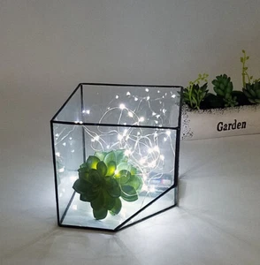 Glass Terrarium/mini Greenhouse/ Tabletop Succulent Planter/Candle holder - Picture 1 of 6