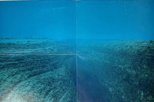 Noguchi Rika (geb. 1971) Art Announcement Card / Fold Out Poster Print 2005 - Bild 1 von 9