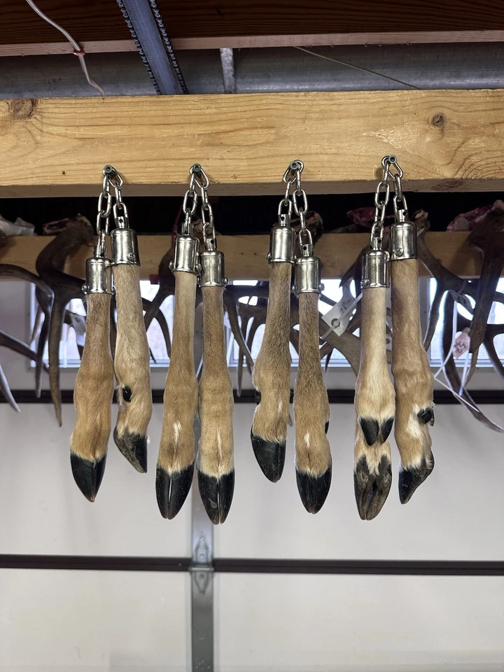 Mandriles de ciervo monja Foto 1 de 2