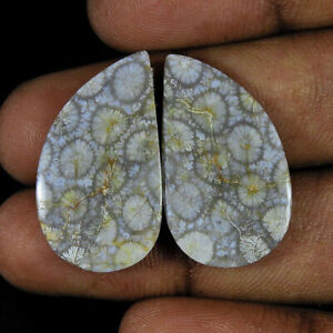 Coppia di coralli fossili naturali abbinati con pietre preziose sciolte...