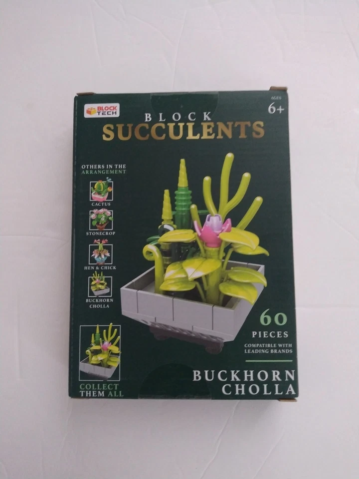 Block Tech Succulents Buckhorn Cholla NIB - Image 1 of 1