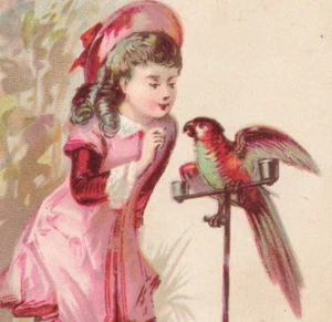 Lindo vestido rosa de niña con tarjeta victoriana y pájaro loro encaramado en un soporte - Imagen 1 de 4
