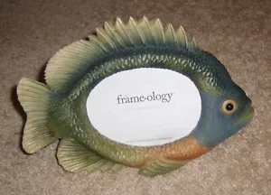 Cornice-Ologia Blue Gill Fish Cornice portafoto di United Artist ~ pietra resina 3D - Foto 1 di 4