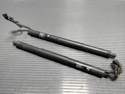 BMW X5 2014-2018 Juego de 2 puntales de amortiguador trasero izquierdo derecho maletero trasero OEM Foto 1 de 4