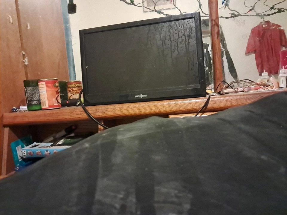 Televisión LCD Insignia NS-LCD15 15" 720p HD Foto 1 de 1