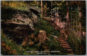 Postcard Liberty New York The Devil’s Den Walnut Mountain Sullivan County - Picture 1 of 2