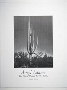 Ansel Adams "SAGUARO, ARIZONA" 22"×28" Poster New - Picture 1 of 1