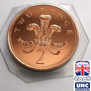 (BRILLIANT UNC) BRITISH 2008 ELIZABETH II TWO PENCE 2p coin, 17 Years Old! - Picture 1 of 2