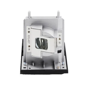 20-01175-20 Original Lamp Bulb with Housing for SmartBoard 685iX,885iX,UX60 - Picture 1 of 3