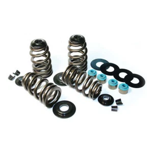 Feuling Moto Econo Beehive Valve Spring Kit - .585" Lift For 84-99 Evo B.T. - Picture 1 of 1