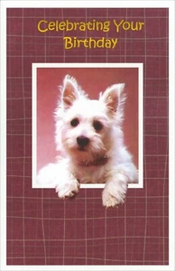 Cute BIRTHDAY Card, West Highland White Terrier Dog Face by Premium Greetings +✉ - Picture 1 of 5