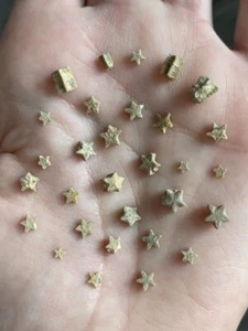 A Bottle of 30 Crinoid Star Fossils - Picture 1 of 8