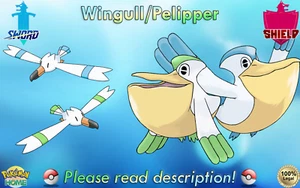 ⚔️Wingull Brillante/No Brillante/Pelipper 6IV🛡️Espada/Escudo Pokémon INICIO (💯Legal) - Imagen 1 de 21