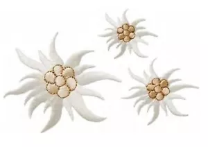 Aufbügelmotiv♥Patch♥ 3 Edelweiss Blüten CREATE ♥Aufbügler♥Applikation NEU - Picture 1 of 3