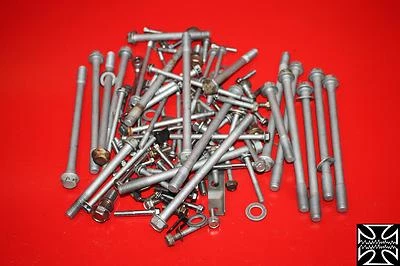 97 1997 Kawasaki Voyager XII ZG1200 1200 PERNOS DE MOTOR HARDWARE TORNILLOS DE MOTOR Foto 1 de 4