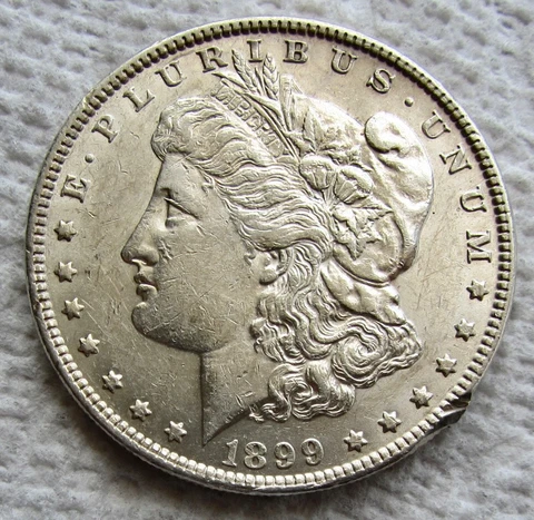 1899 Morgan Silver Dollar Rare Key Date Philadelphia Mint AU Detail Rim Damage Cover